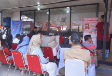 Pemprov Bengkulu Gulirkan Pemutihan Pajak dan Hadiah Emas, Dorong Wajib Pajak Lebih Patuh