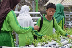 Kota Bengkulu Dapat Tambahan Kuota Sekolah Rakyat, Peluang Pendidikan Berkualitas Kian Terbuka