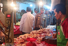 Sidak Pasar Minggu Bengkulu, Harga Ayam Tembus Rp45 Ribu, Kapolda Sebut Masih Wajar