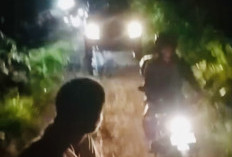 Kepergok Warga, Dua Terduga Pelaku Pencurian Sawit di Manna Diamankan