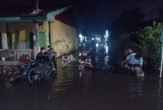 Ribuan KK Terdampak Banjir, BPBD Kota Bengkulu Masih Lakukan Pendataan