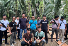 Polres Kaur Bubarkan Judi Sabung Ayam di Tanjung Kemuning