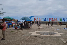 Percantik Pantai Panjang, Pemkot Bengkulu Siapkan Tiga Proyek Besar di 2026