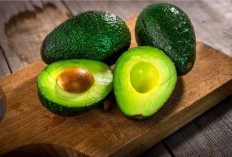 7 Manfaat Ibu Hamil Konsumsi Buah Alpukat Secara Rutin