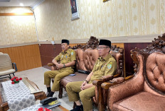 Presiden RI Salurkan 11 Ekor Sapi Kurban untuk Bengkulu, Disebar Merata ke Seluruh Kabupaten/Kota