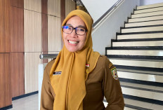 Proses Pengusulan NIP PPK Paruh Waktu di Pemprov Bengkulu Terus Dikebut, 2.716 Berkas Sudah Turun Pertek 