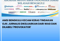AMSI Bengkulu Kecam Keras Tindakan OJK, Jurnalis Dikeluarkan dari WAG dan Dilabeli 'Provokator'
