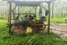 Petir Sambar Penyadap Karet di Seluma, Satu Tewas Dua Luka