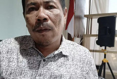 Potensi Pungli Pajak Mihol Disorot, Izin Dipersoalkan Tapi Tempat Hiburan Malam Tetap Pungut Pajak