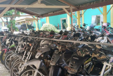 Pemkab Mukomuko Siapkan Lelang Puluhan Kendaraan Dinas, Ada Mobil hingga Motor