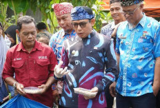 Olah Sekitar 2 Ton Sampah Organik per Bulan, Budidaya Maggot di Bengkulu Terintegrasi dengan Ternak Bebek