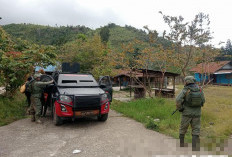 Tim Satgas Damai Cartenz Polres Pegunungan Bintang dan TNI Temukan Ladang Ganja dalam Patroli Taktis