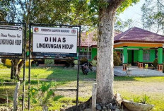 Sungai Selagan Menghitam, DLH Mukomuko Audit Total Limbah PT SAP