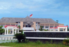 Peta Politik Mukomuko Berubah Total! Penduduk Tembus 200 Ribu, Kursi DPRD Berpeluang Tambah