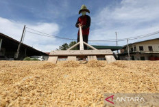 Perang Melawan Kelaparan Demi Masa Depan Bangsa