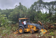  Dorong Ketahanan Pangan Daerah, BPBD Kota Bengkulu Buka Lahan Jagung