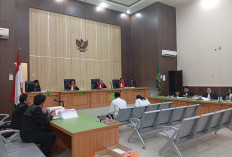Sidang Korupsi DPRD Kaur, ASN dan Honorer Mengaku Hanya Terima Sebagian Dana Perjalanan Dinas