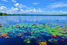 Danau Dendam Akan Naik Kelas Jadi Wisata Modern