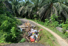 Jalan Berlubang di Pino Raya Bengkulu Selatan Malah Jadi Tempat Sampah