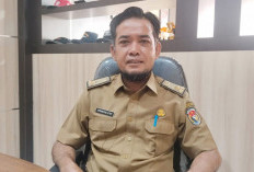 DBH Sawit Mukomuko 2026 Anjlok Jadi Rp3 Miliar, Pembangunan Jalan Terancam Terhambat