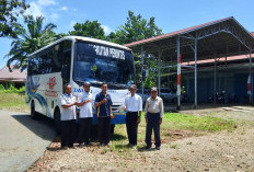 Bus Damri Murah Diserbu Warga, Dishub Usulkan Rute Baru ke Kedurang