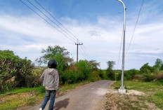 Pemkot Bengkulu Genjot Penerangan Jalan, Targetkan 1.095 Titik Lampu Baru di 2026