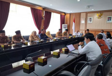 BPKP Awasi Sistem Perizinan Investasi Bengkulu, Pastikan Kemudahan Berusaha Tahun 2026