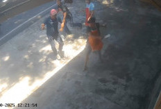 Debt Collector Dibacok Bos Ayam Lantaran Hendak Narik Mobil di Pinggir Jalan