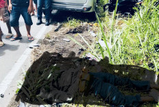 Tabrakan Maut di Masmambang, Avanza Hilang Kendali, Pasangan Pengendara Motor Tewas di Tempat