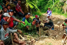 Kejar Target UHC 2027, BPJS Kesehatan Bintuhan Sisir 2.755 Warga Kaur yang Belum Terdaftar
