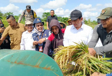 Kabar Baik Petani Arma Jaya: Harga Gabah Stabil Sesuai HPP, Saluran Irigasi Siap Diperbaiki Tahun Ini