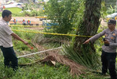 Egrek Sentuh Kabel PLN, Pemuda di Seluma Meninggal di TKP