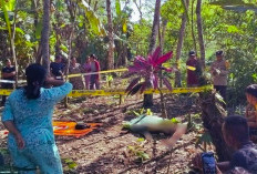 Dugaan Penculikan Anak Digagalkan, Satu Terduga Pelaku Tewas Diamuk Massa