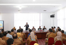Sinergi Seluruh OPD, Pemkab Kaur Targetkan Festival Gurita 2026 Jadi Magnet Wisata Nasional