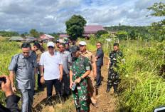 Ketahanan Pangan Seluma: 650 Prajurit Yonif TP Garap 20 Hektar Lahan 'Tidur'