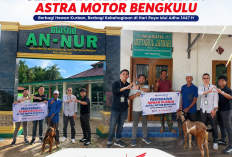 Astra Motor Bengkulu Salurkan Hewan Kurban ke Masjid Sekitar Perusahaan pada Iduladha 1447 H