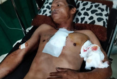 Tagih Utang Servis Motor Berujung Penikaman, Pelaku Ditangkap Polisi