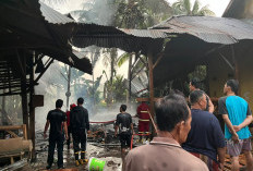  Damkar Bengkulu Selatan Bergerak Cepat, Mebel Maker di Seginim Ludes Terbakar