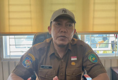 Pemkot Bengkulu Kebut Program Seribu Jalan Mulus, Puluhan Ruas Jalan Lingkungan dan Poros Mulai Digarap
