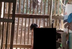 Diduga Akibat Pertengkaran, Ayah Tiri di Bengkulu Tengah Bunuh Anak Tiri, Pelaku Sedang Diburu Polisi