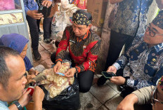 Ribuan ASN Serbu PTM Bengkulu, Pasar Tradisional Kembali Bergeliat  ?