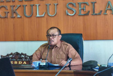 Tingkatkan Mobilitas Pelayanan, Pemkab Bengkulu Selatan Siapkan Rp3,3 Miliar untuk Mobnas Camat Baru