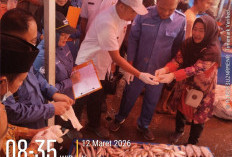 DKP Kota Bengkulu Uji Kualitas Ikan di Pasar Panorama, Pastikan Aman dari Formalin