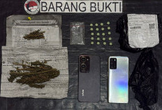 Dua Pengedar Narkoba Dibekuk di Rejang Lebong, Polisi Sita Ekstasi dan Ganja