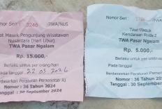 Tarif Pantai Cemoro Sewu Disorot, BKSDA Bengkulu Tegaskan Sudah Sesuai Aturan