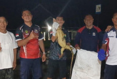 Seekor Biawak Bikin Heboh Damkar Bengkulu Selatan