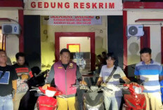 Polres Kaur Ringkus Tiga Pelaku Judi Sabung Ayam 