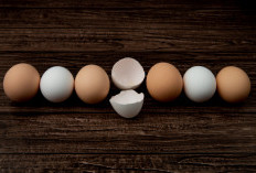 Telur Cokelat vs Putih, Benarkah Kandungan Gizinya Berbeda? Ini Faktanya