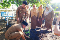 Lahan Kosong Disulap Jadi Kebun Produktif, Inovasi Dinas ESDM Bengkulu Tuai Apresiasi Sekda