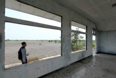 Perusahaan Batu Bara Siap Dukung Proyek Rel Kereta Api Bengkulu, Pemprov Surati Kemenhub RI